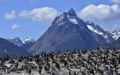 Ushuaia : Odyssée au seuil du Monde Inconnu